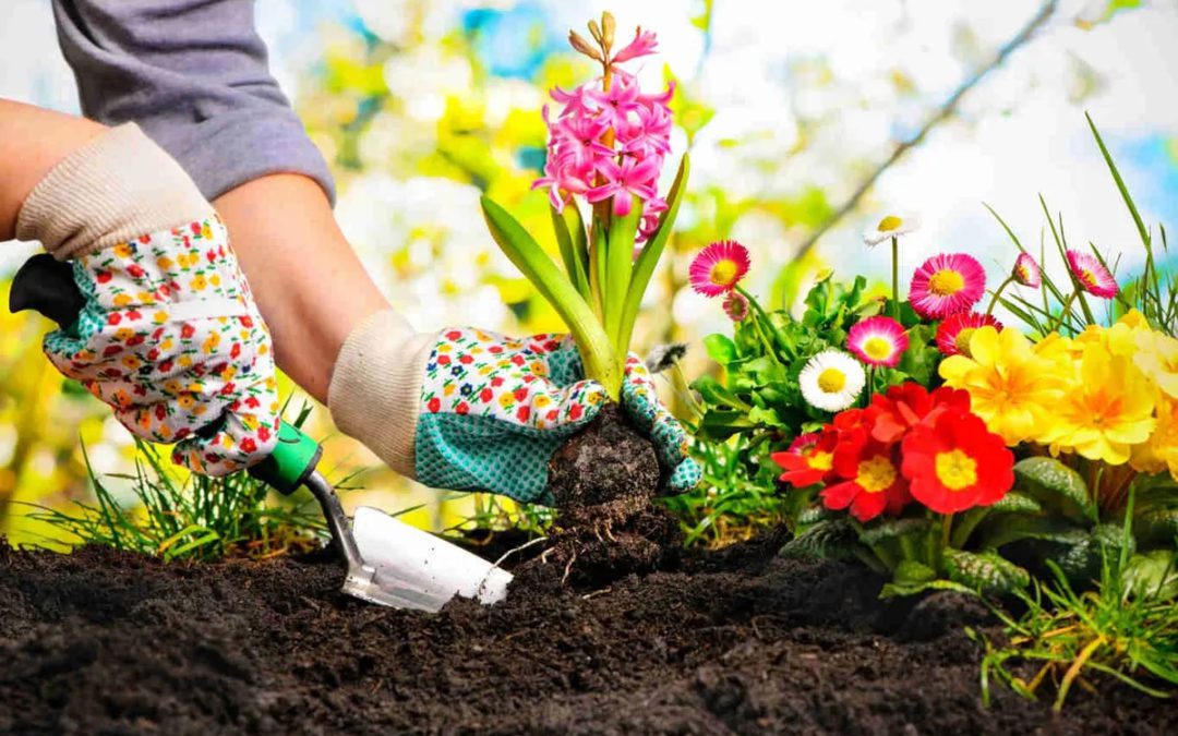 Spring Means Gardening, Yardwork, and Flowers: Alleviate Your Pain